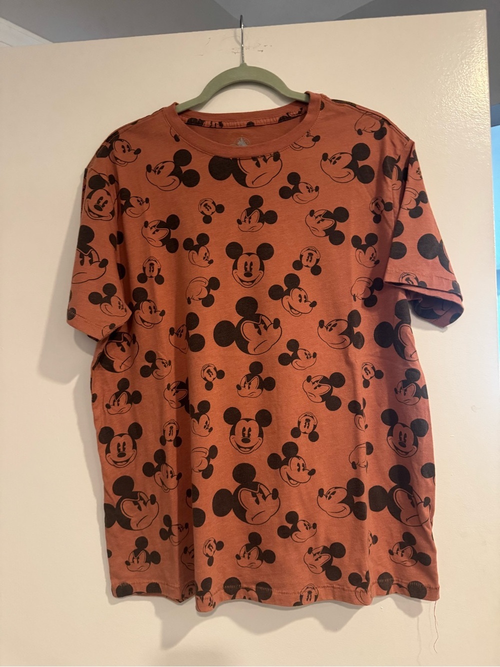 Disney Parks Rust Graphic Tee with Black Print